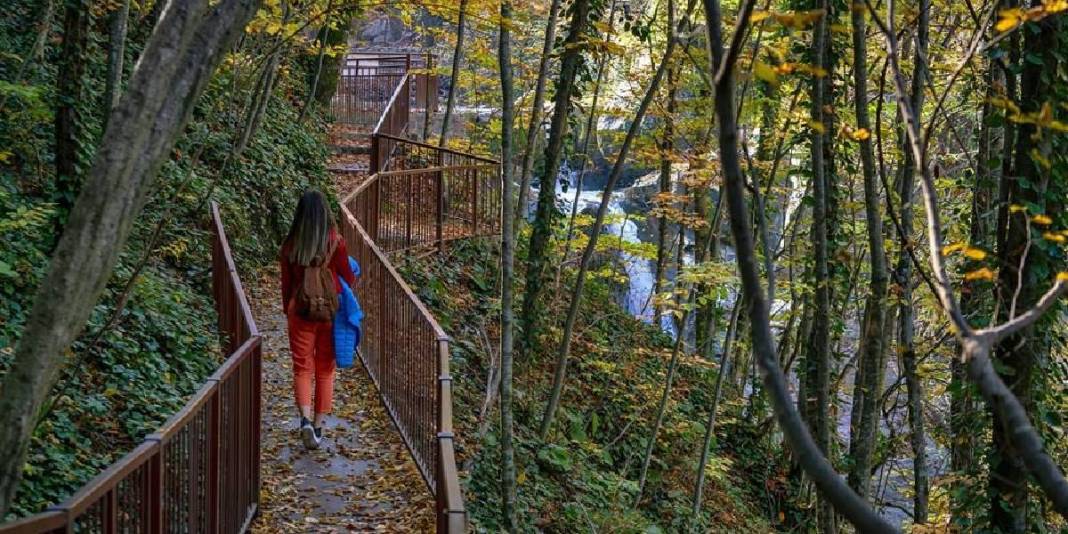 Şehirden uzak, doğaya yakın nokta! Yeşilin ve suyun dansı burada buluşuyor: Giden resmen büyüleniyor! 6